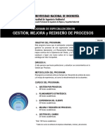PE Gestión Procesos - Brochure