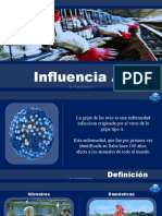 Influenzaaviar 1