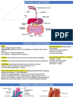 FISIOLOGIA