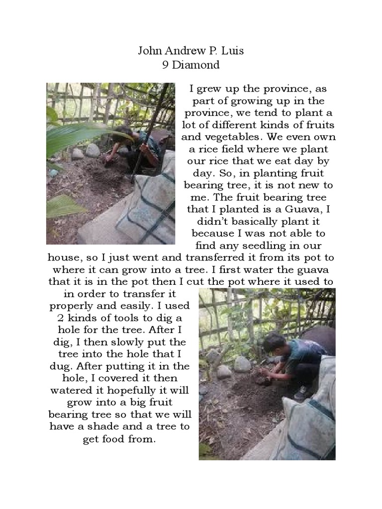 Tree Planting | PDF