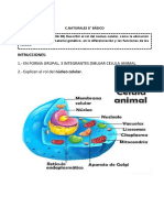 Formato Evaluación