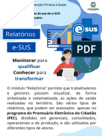 Tipos de Relatórios E-Sus