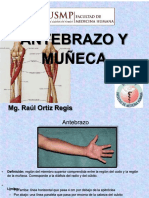 Antebrazo y Muñeca 2013