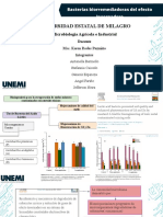 Microbiología Agrícola e Industrial