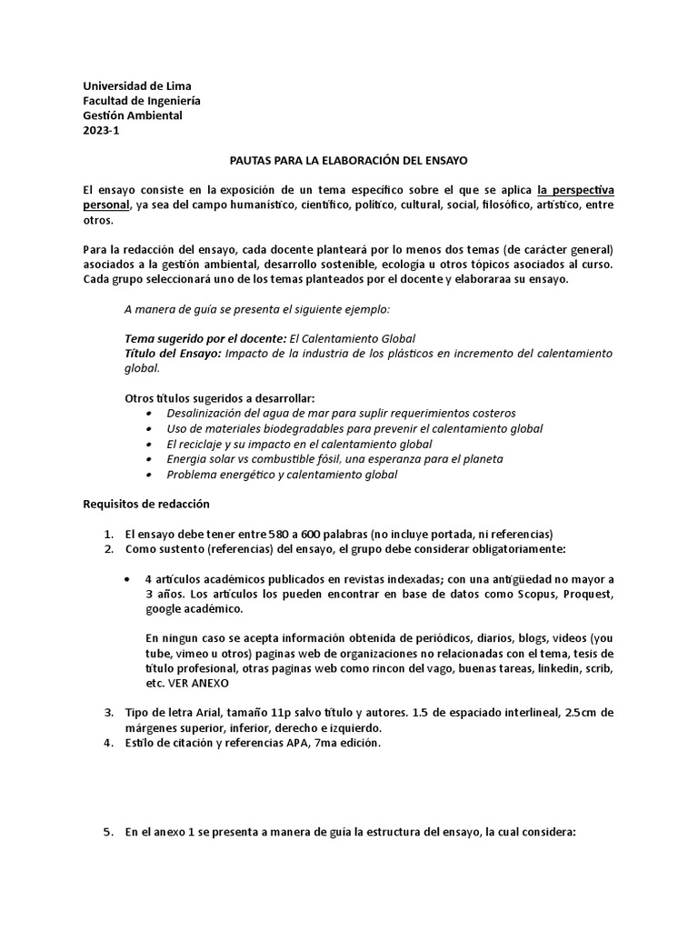 Pautas para elaborar un ensayo académico | PDF | Ensayos | Maestros