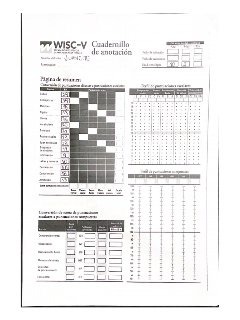 WISC-V Cuadernillo | PDF