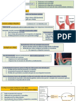 21 Fisiopatología de Las Enfermedades Gastrointestinales Jueves 29 Septiembre