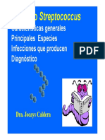 Estreptococos 0809