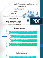 Sistemas de Información Aplicados A La Ingeniería: Ing. Sergio C. Iga Berlanga MATI