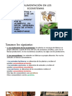 Alimentación en Los Ecosistemas 27 de Julio