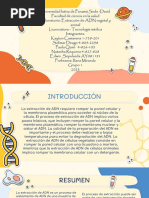 Informe de Extraccion de ADN