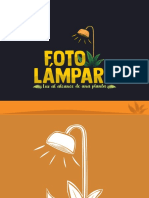 Proyecto FOTOLAMPARA