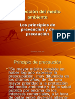 Tinant ProtecciÃ N Del Medio Ambiente. Principios de Prevenciã N y de Precauciã N