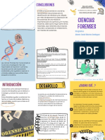 TRIPTICO Ciencias Forenses2