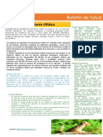 Boletin Salud Accidente Ofidico