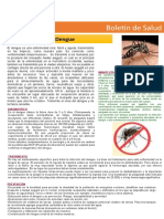 Boletin Salud Dengue