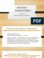 Sistema Respiratorio 12