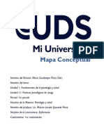 Mapa Conceptual Psicología y Salud