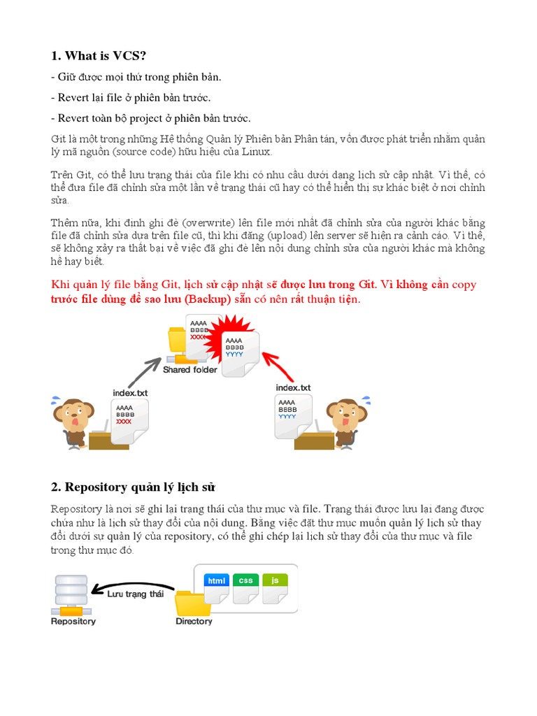 What is vcs pdf
