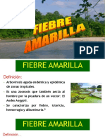 1er. P Fiebre Amarilla Junio 2023