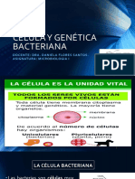 2.-Célula y Genética Bacteriana I