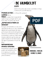 Pinguino de Humboldt