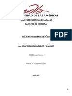 Informe Pleuro Pulmonar