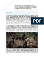 La Industria Del Mueble Chino Deja Sin Árboles A Sierra Leona