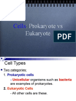 A.3 Prokaryote V Eukaryote and Cell Parts