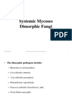 Systemic Mycoses 2023