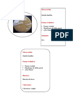 Tarea Microbiologia