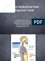 Anterior Abdominal Wall and Inguinal Canal