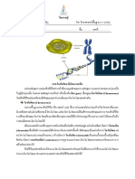 โครโมโซม DNA