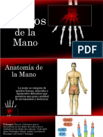 Huesos de La Mano Anatomia Humana 1