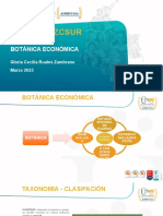 Presentación Botanica Economica