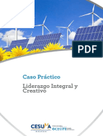 Caso - Práctico - Liderazgo Integral y Creativo