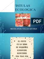 Fistulas Ginecologicas