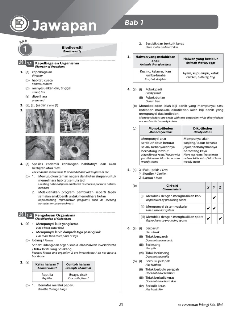 Bab 1 | PDF