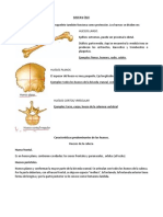 Sistema Óseo y Articular