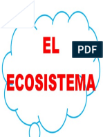 El Ecosistema en Forma de Nube