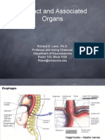 GI Tract and Associated Organs