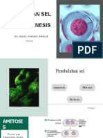 PEMBELAHAN SEL (Amitosis Dan Mitosis)