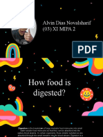 How Food Is Digested (Alvin Dias)