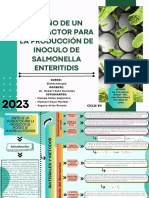 Diseño de Un Biorreactor para La Producción de Inoculo Salmonella Enteritidis