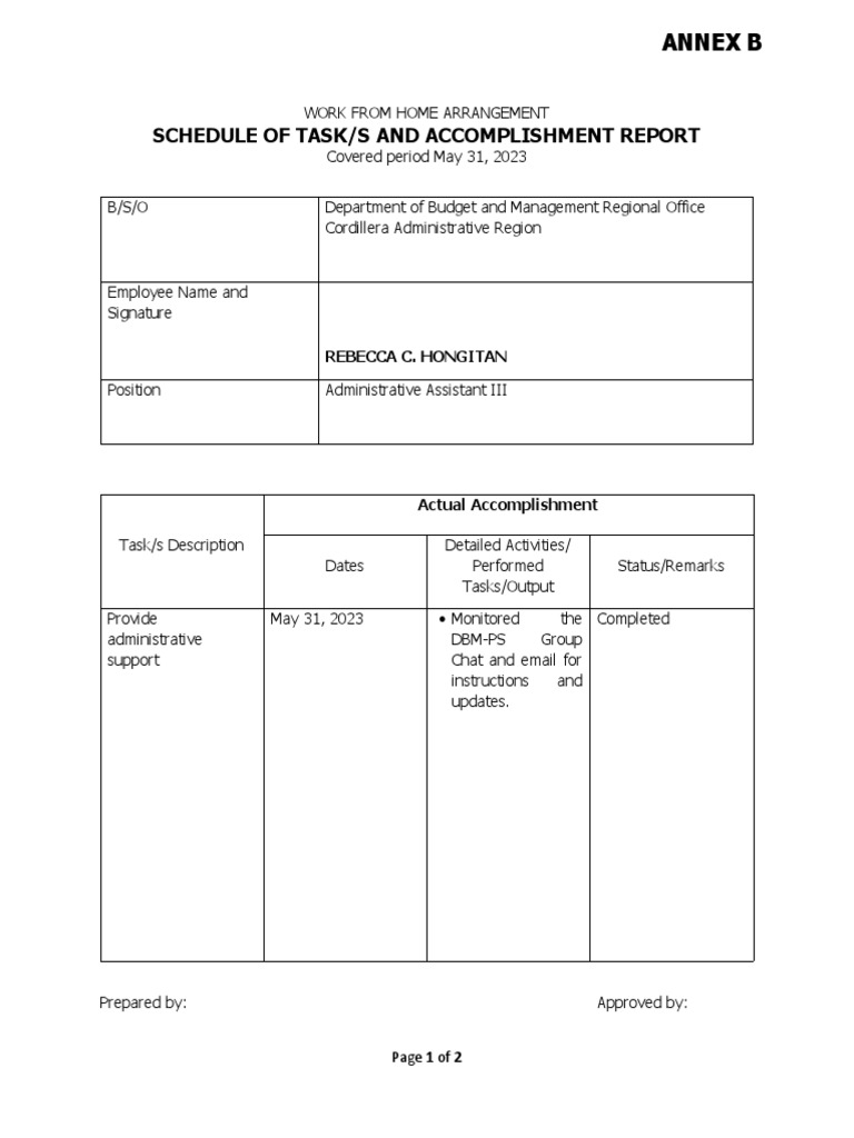 TEMPLATE - WHA Accomplishment Report (STAR) | PDF