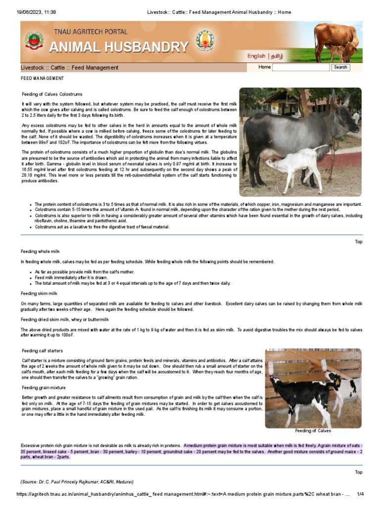 Livestock Cattle Feed Management Animal Husbandry Home PDF Cattle Milk