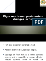 1.5.1 Post Mortem Changes in Fish