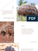 Pangolin Hunting in Nigeria