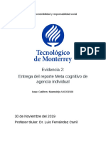 Evidencia 2. Entrega Del Reporte Metacognitivo de Agencia Individual (REMAI) Ejemplo