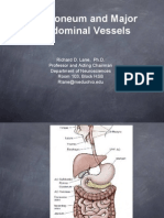 Peritoneum and Major Vessels